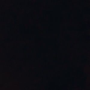 Meet your Posher, Daisha